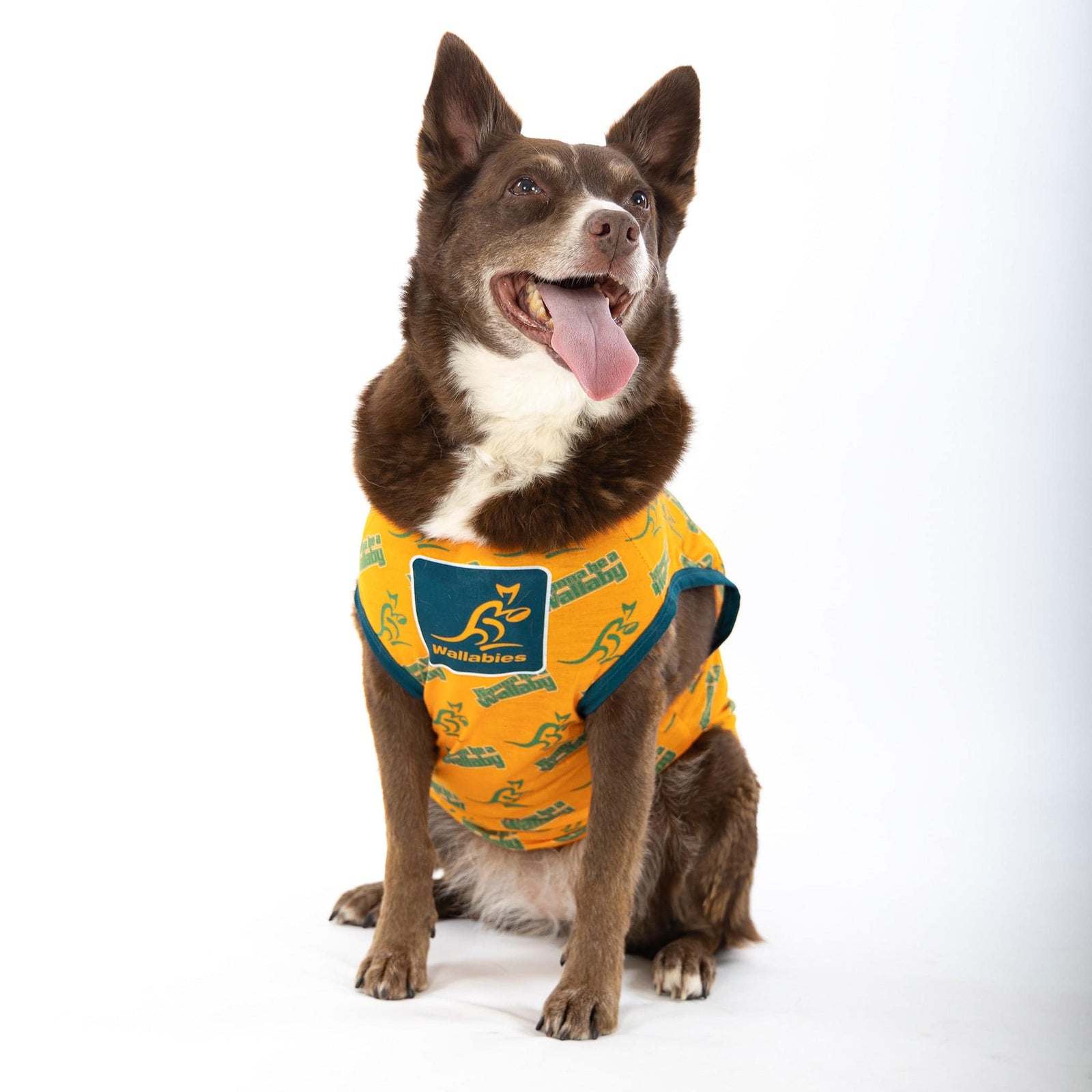 Dog coir Indian Cricket Jersey